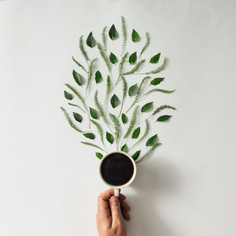 Coffee cup with leaves. Serene concept.